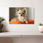 Crowhu Chihuahua sur un oreiller-111885233