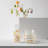 Meadow Glass Table Vase-102042476-102042473