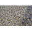 Wool Oriental Area Rug in Beige/Dark Blue
