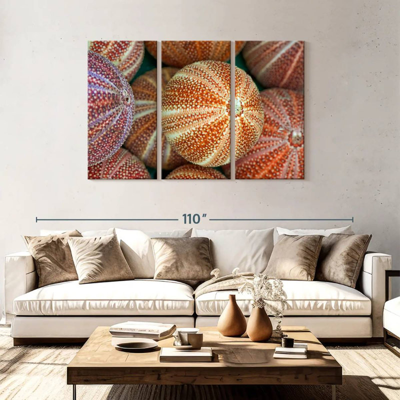 Striped Sea Urchin Shells, 48" H x 74" W