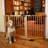 Safety Gate