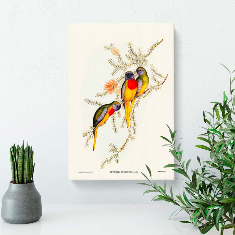 Splendid Grass-Parakeets by Elizabeth Gould - Wrapped Canvas Painting, 60cm H x 40cm W x 3cm D