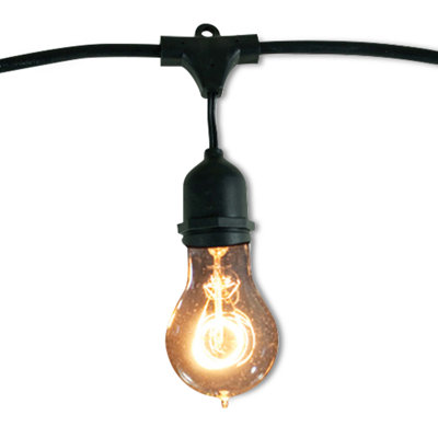 Jothan 48-ft Outdoor 15 - Bulb Standard String Light (End to End Connectable)