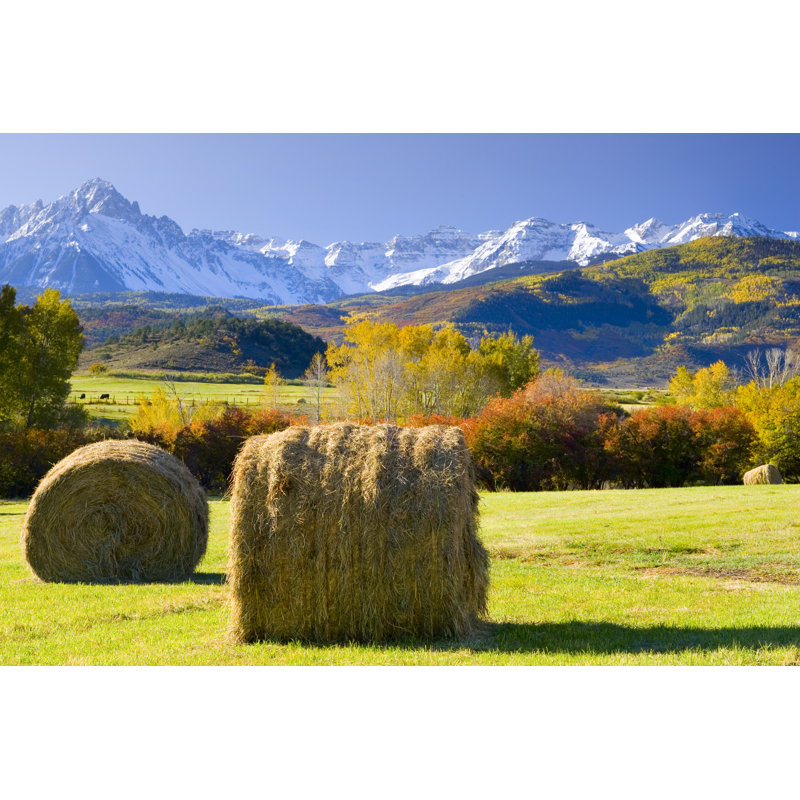 Preparing Hay - Wrapped Canvas Print, 61cm H x 91cm W