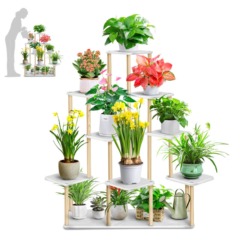 Plant Stand - Set of 6