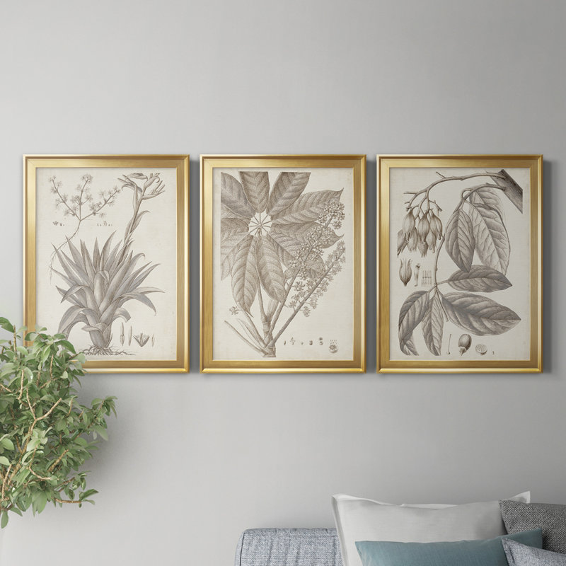 Sepia Exotic Plants IV - 3 Piece Single Picture Frame Painting on Canvas, 30" H x 22" W x 1" D, Gold Framed