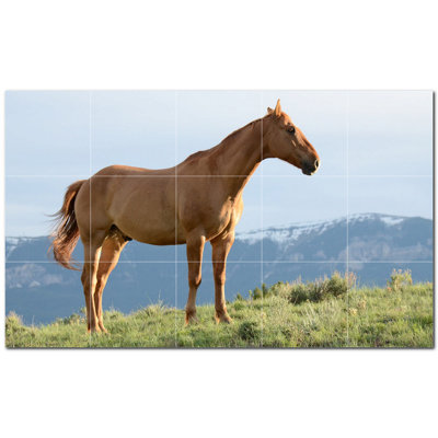 Murale en céramique satinée Horse Photo 6 po x 6 po