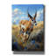 «Antelope» par Momart, art mural sur toile-1387889880