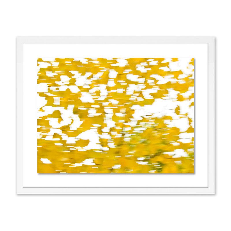 Yellow Trees Print by Geoffrey Baris, 19" H x 24" W x 1.5" D, White