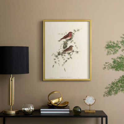 «Vintage Animal Print», reproduction encadrée en bois massif