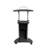 Techni Mobili Sit-to-Stand Rolling Adjustable Height Laptop Cart With Storage,-1746761652