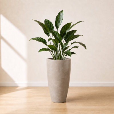 ECOBO Eco-Friendly Round Pot Planter, VicenzaIndoor/Outdoor use,Four Season Use