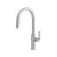 Authentica Pull-Down Kitchen Faucet With C-Spout-215298029