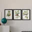 Oiseau antique, botanique et œuf I - ensemble de 3 peintures sur toile encadrées-1128397841-1128397842