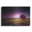 «Pink Nights», art mural en métal, 36 po x 24 po-961890605
