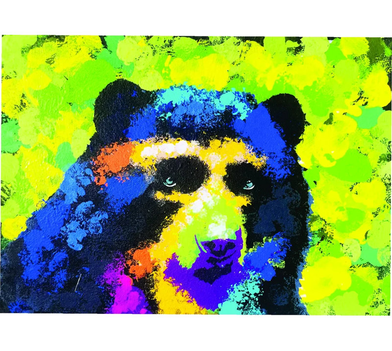 oso andino