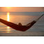 Paradiso Family Hammock-36368759