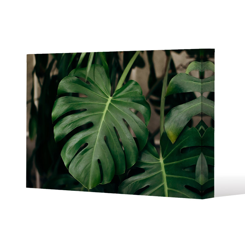 1 Piece Wrapped Canvas Wall Art