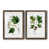 Papier, cadre noyer