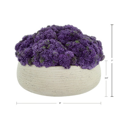 Sedum Arranged in Fiberstone Pot