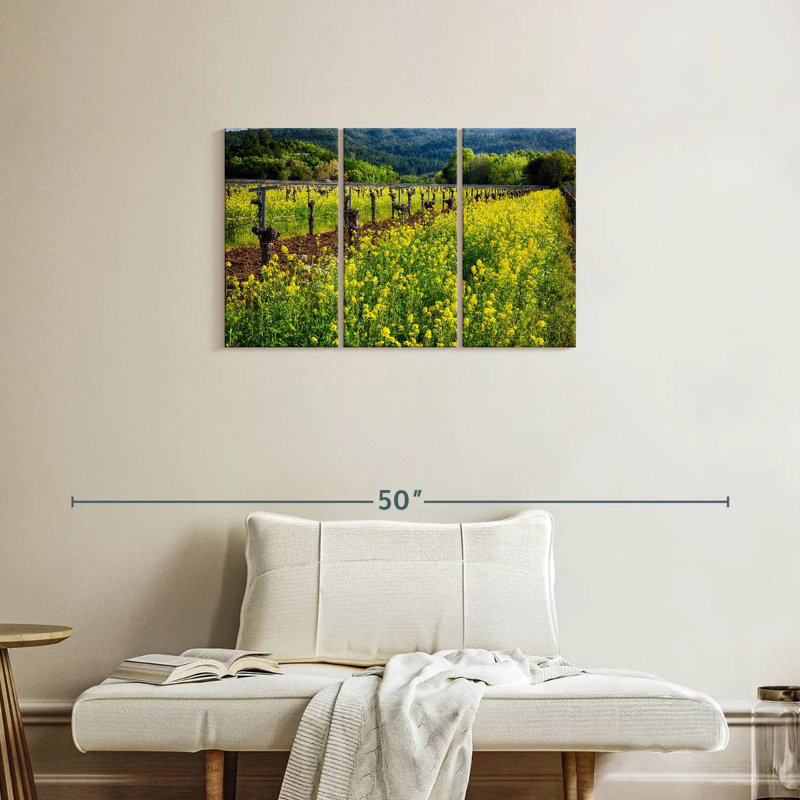 Moutarde jaune et vignes Alvord, H 20 po x l 33 po