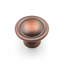 CK Series Mushroom Knob-12829777-12829778