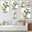 Wall Clock-1622769677