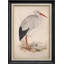 Cigogne blanche, animaux, peinture sur toile-86450235