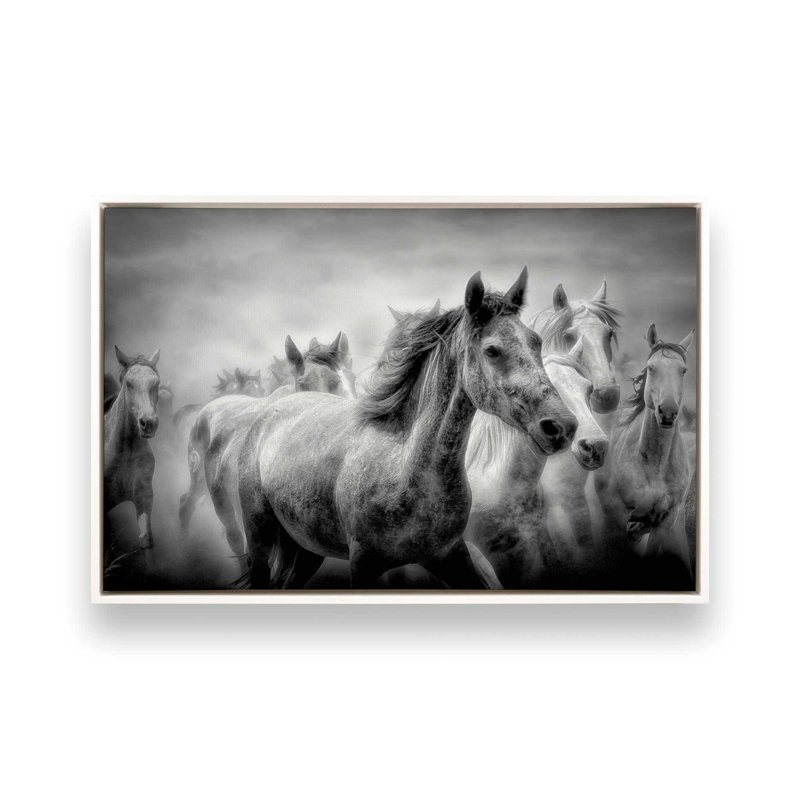 Thundering Hooves Canvas Print, 24.75" H x 36.75" W x 1.75" D, Opaque White Floater Framed