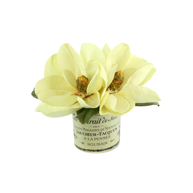 Arrangements floraux de magnolia dans un vase