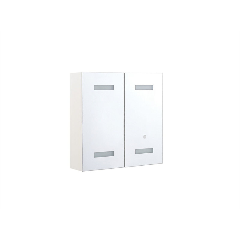 Tellis 600mm W 600mm H Surface Frameless Medicine Cabinet Mirror 2 Fixed