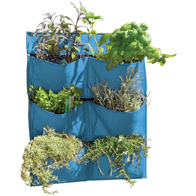 Longbridge Wood Wall Planter, Pale Blue