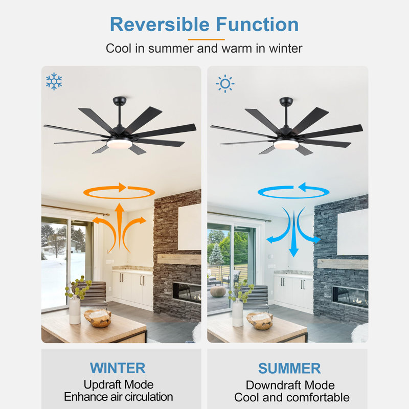 62 Inch Ceiling Fans with Lights and Remote, Black