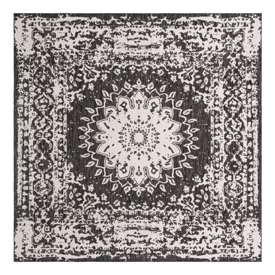 Ornate Lamotte Indoor/Outdoor Area Rug