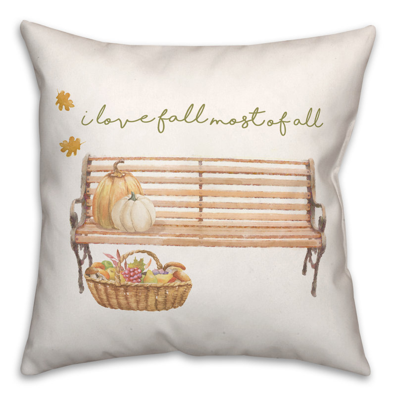  Square Pillow Cover & Insert