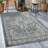 Dorsett Oriental Indoor Rug-1526639137