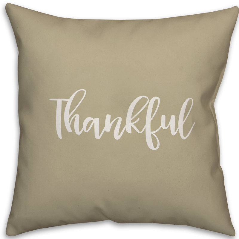 Reversible Throw Pillow, Beige, Pillow Cover