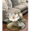 Magnolia Holiday Arrangement