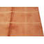 Tapis rouge Coral