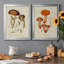 «Mushroom Variétés III», reproduction encadrée de qualité supérieure - prête à être accrochée-567056240-567056246