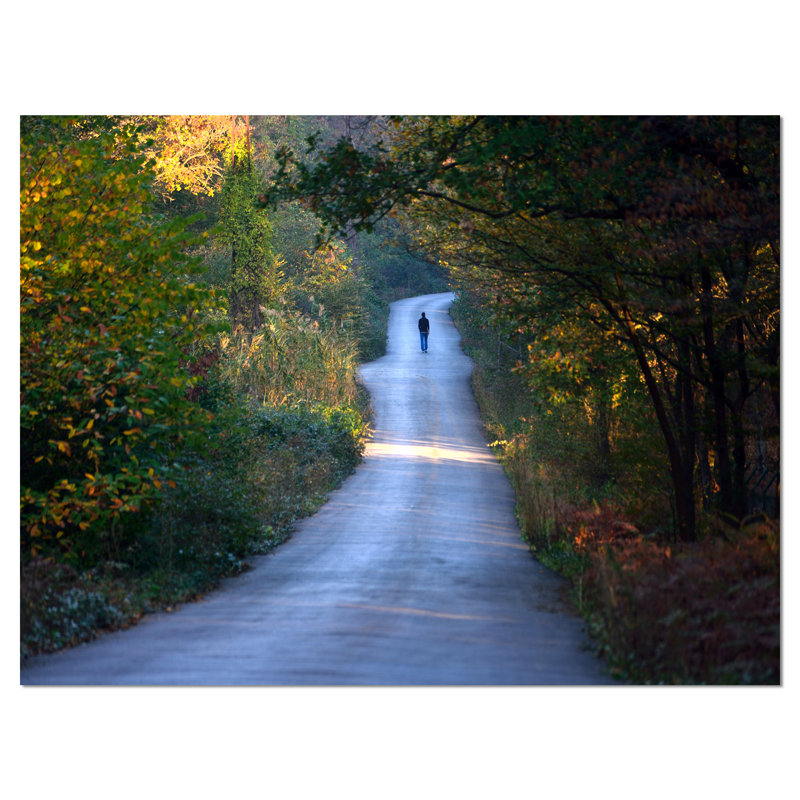 «Walking Alone on Road», reproduction de photo sur toile tendue, H 20 po x l 20 po x P 1 po