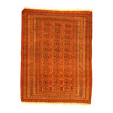 Tekke Wool Southwestern Area Rug in Rust/Beige