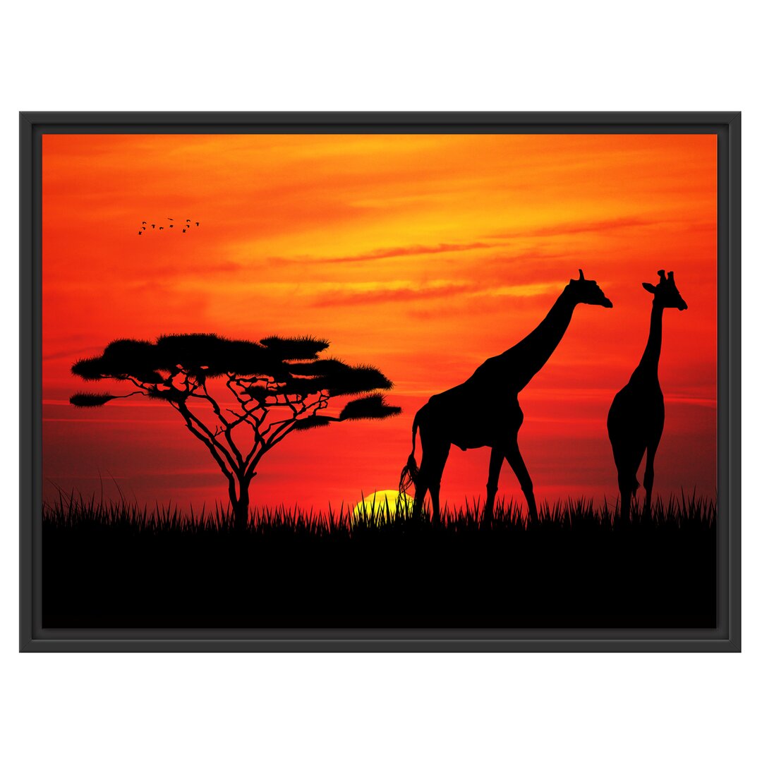 Gerahmtes Wandbild Afrika GiraffenSonnenuntergang