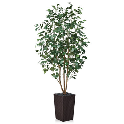 Adcock UV Protected Artificial Ficus Tree with Decorative Base, Faux Ficus Plant with Natural Trunk