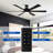  Tija 65'' Modern Glass Shade Windmill LED Ceiling Fan with Light and Remote Control