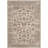 Bristol Point Performance Oriental Rug-19263434