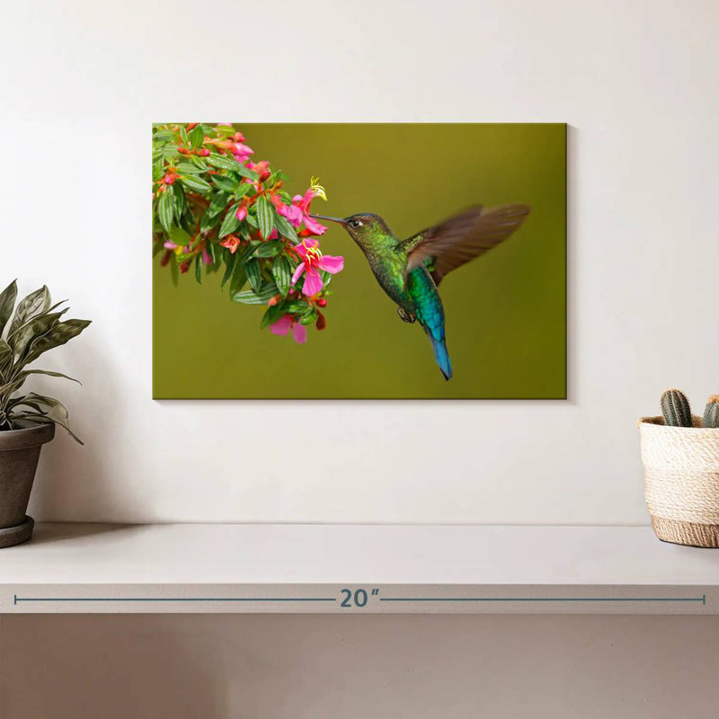 Brampt Hummingbird Feeding, 8'' H x 12'' W