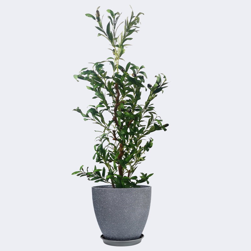 Pots ronds d'olivier artificiel de type B et résine, Gris foncé, H 15,75 po x l 59,06 po x P 15,75 po