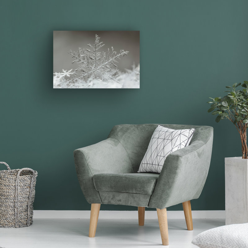 «Snowflake» par Tsolmon Naidandorj - reproduction de photo sur toile tendue, H 12 po x l 19 po x P 2 po