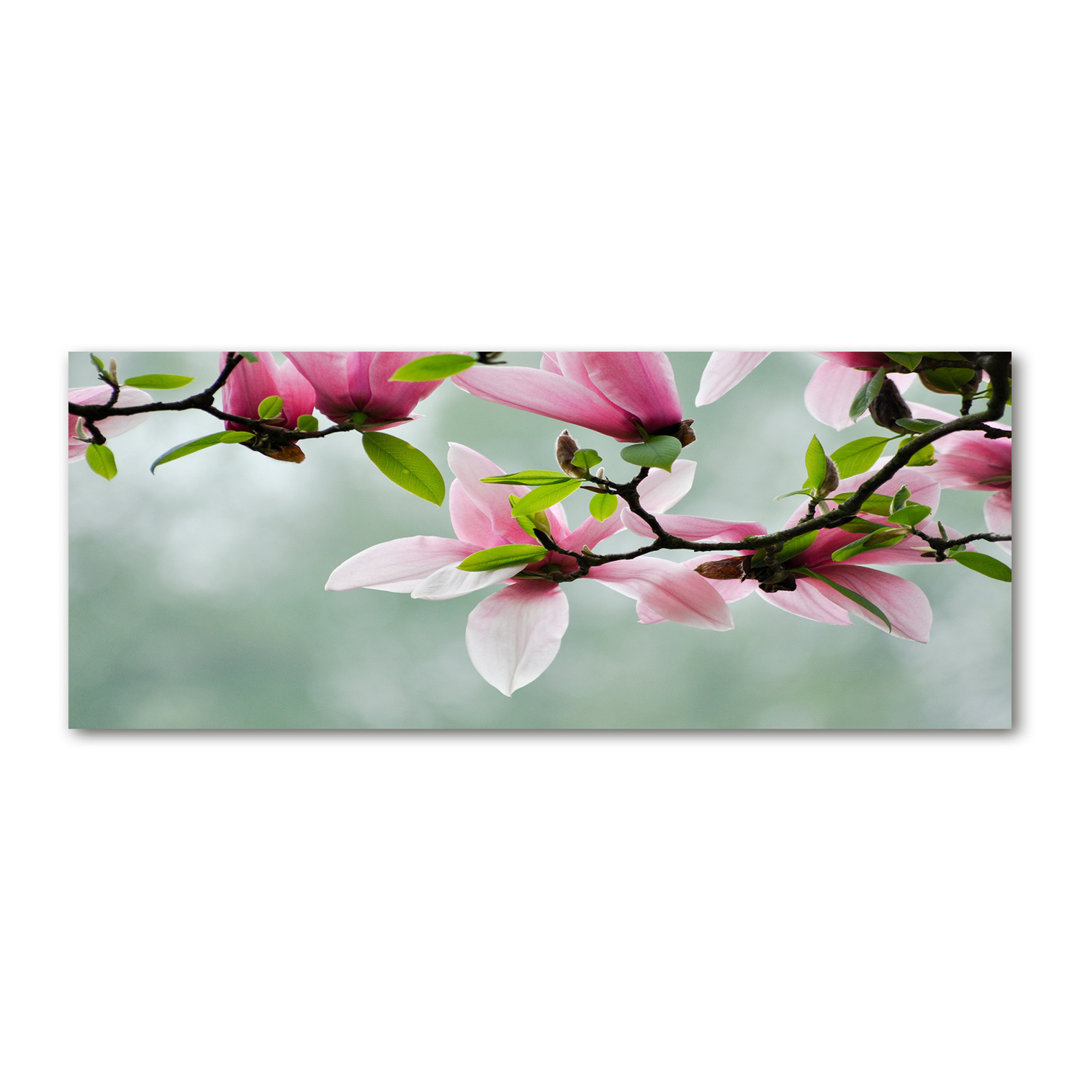 Magnolia - Kunstdrucke auf Leinwand - Wrapped Canvas